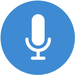 VOICE